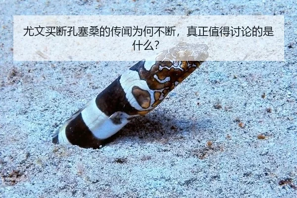 尤文买断孔塞桑的传闻为何不断，真正值得讨论的是什么？
